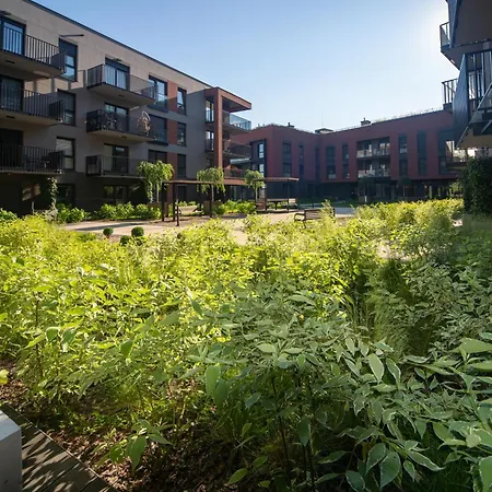 Maya's Flats & 17 - Maya's Flats &